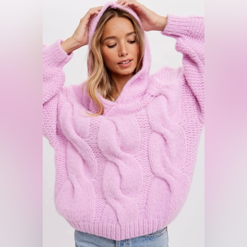 Chunky Knit Hooded Sweater